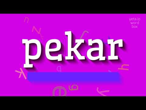 How to say "pekar"! (High Quality Voices)