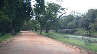 preview picture of video 'SRI LANKA SIRIGIRIYA HISTORICAL PALACE SITE  travelviews 954 by sabukeralam & travelviewsonline'