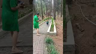 Download lagu Mauliate Hasian mp3