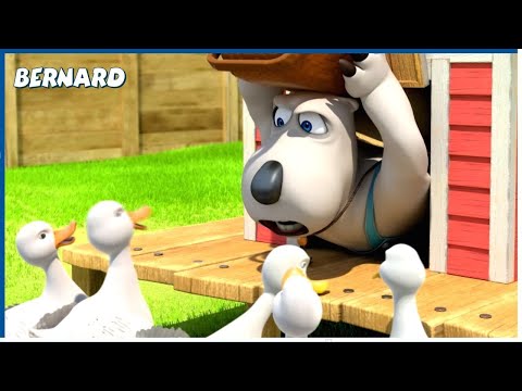 Let Me Go | Bernard | 130' Compilation