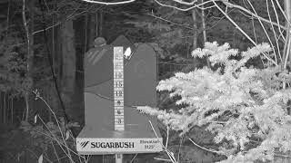 Allyns Lodge Snow Stake live webcam