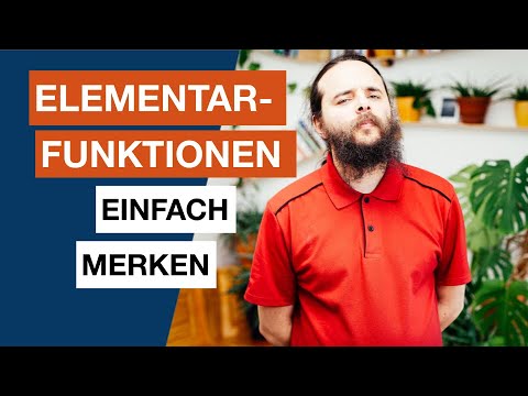 Elementarfunktionen merken - Differentialdiagnose-Profi werden - Heilpraktiker für Psychotherapie