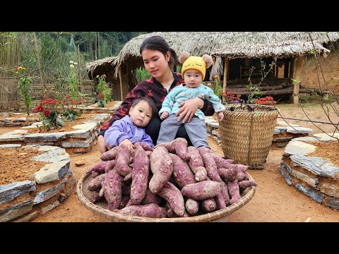 Single Girl: Harvest Sweet Potatoes with her children goes to market sell | Making Sweet Potato Cake