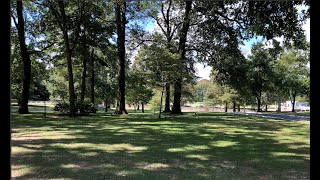 Photo of the Ghost of Elvis Presley in the trees at Graceland July 2019