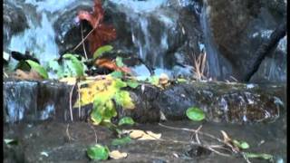 Dancing on the Water by Bob James