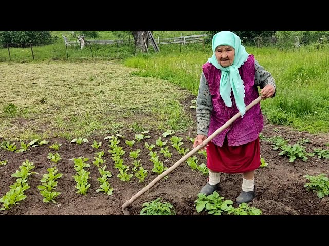 Салиме Хабибуллиной из Старой Амзи исполнилось 95