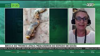 Miniatura do vídeo