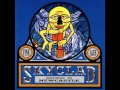 Skyclad - History Lessens 