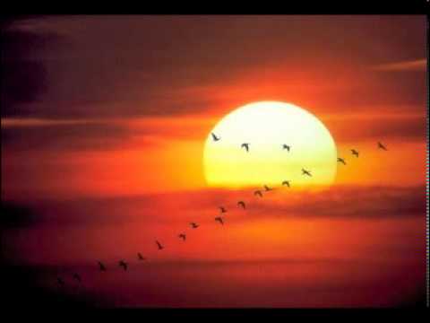 Thumbnail for Free Again video