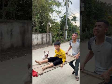 Dog Discovers an Injured Baby and Alerts People to Save a Life ATouching Pet Story#pets#dog#lovedog