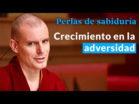 Crecimiento en la adversidad - Perlas de Sabiduría [Lección 8] (PARTE 1)| Lama Rinchen