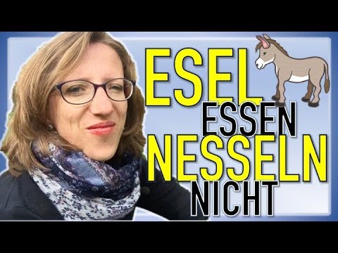 download lagu mp3 mp4 Esel Essen Nesseln Nicht, download lagu Esel Essen Nesseln Nicht gratis, unduh video klip Esel Essen Nesseln Nicht