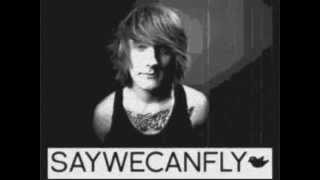 SayWeCanFly I&#39;ve Lost the Moon