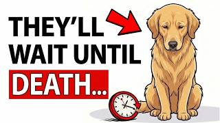 Your DOG Waits Their WHOLE LIFE For You to DO THIS!
