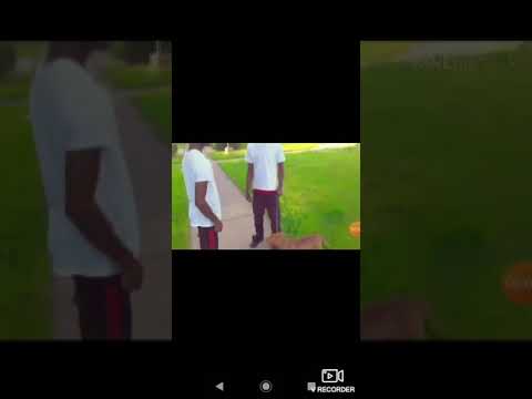 Lil FRENCHIE X 8SHOTS