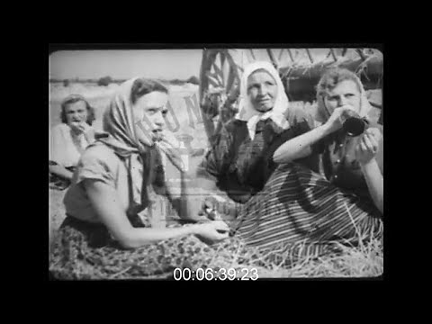 Rural Life in Racibórz, Poland, 1950s - Film 1032391