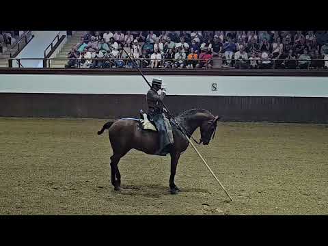 "How the Andalusian Horses Dance" (aka Dancing Horses) show in Jerez de la Frontera, Spain
