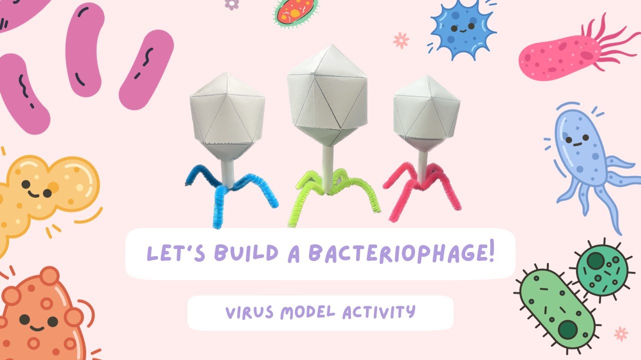 Let's Build a Bacteriophage Model!