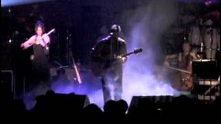 &quot;Pulling Touch&quot; Poi dog Pondering