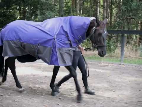 Delzani Wyndham Rainsheet Neck Combo video – 1200D ripstop outer, sports mesh lining, reflective trims and waterproof turnout highlights