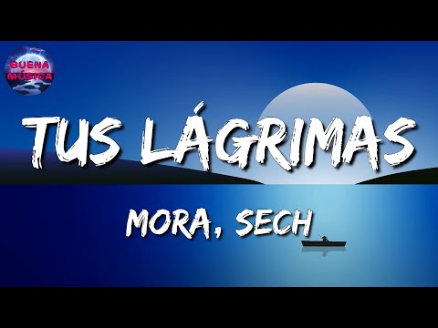 Mora, Sech – TUS LÁGRIMAS (Letras\Lyrics)