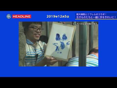 [OU-HL] 阪大とニフレルのコラボ！ 生きものたちと一緒に手をきれいに！（2019.12.5）