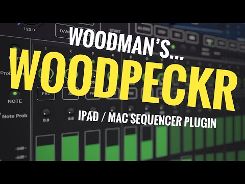 Woodpeckr / Woodpecker by Woodman’s / Wims Studio // Powerful Midi Sequencer App / Plugin 