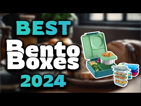 Top Best Bento Boxes in 2024 & Buying Guide - Must Watch Before Buying!