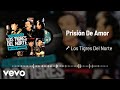 Los Tigres Del Norte - Prisión De Amor (Live / Audio)