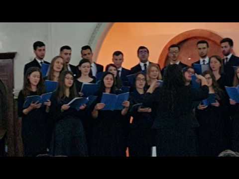 Corul Amicus Bucuresti - Copilasi priviti