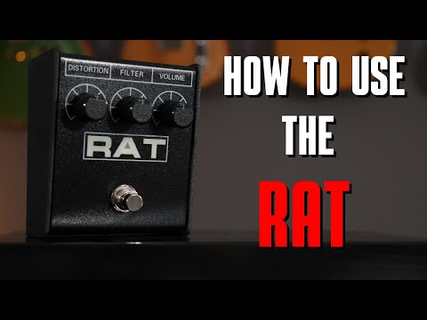 4 Tips How You Can Use The ProCo Rat 2 Distortion