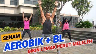 Download lagu AEROBIK   BL Lebih cepat membakar lemak perut mp3