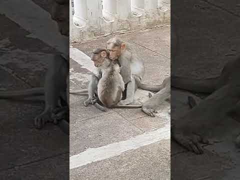 OM SHANTIH SHANTIH SHANTIHI