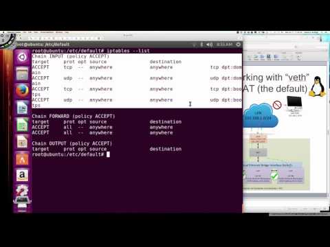 Linux Containers (LXC) Networking Deep Dive - Video 002 - LXC veth Adapters and DNSMASQ