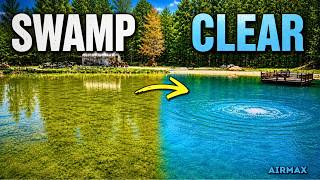 The #1 Thing Your Pond Needs (Or It Turns Into a Swamp)