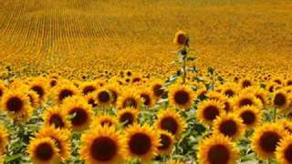 FOLLOWING THE SUN- ENIGMA