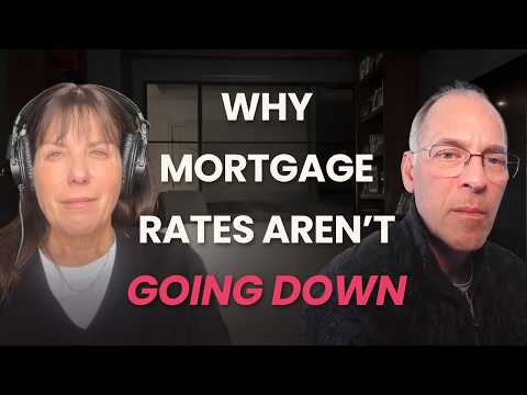 Moody's Chief Economist Mark Zandi on What to Do With Your Money Right Now