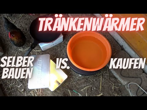 Chicken Tip 10 - Build or buy a drinking trough heater yourself with or without electricity