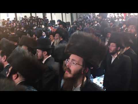 חתונת מונקאטש  Munkatch Wedding in Israel 2018