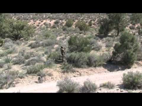 Broken Arrow Practice with Golden Eagles