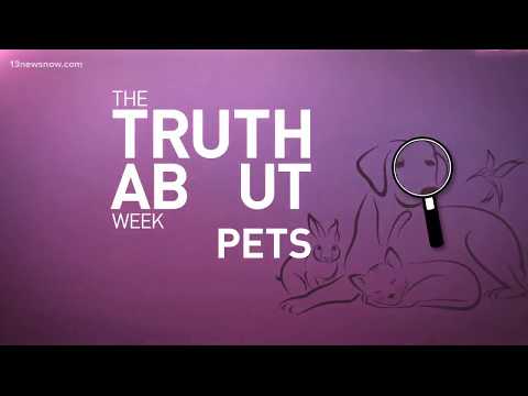 The Truth About Pets: Organic Pet Food