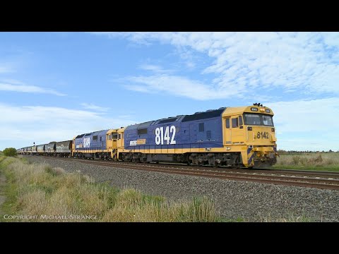 7731V Pacific National Grain Train - PoathTV Australian Rail Freight Transport