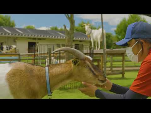 県営うだ・アニマルパークPR動画（30秒ver）