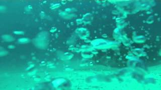 preview picture of video 'Manta Rays Diving Maldives with Dive&Sail Hakuraa GoPro Hero 3'