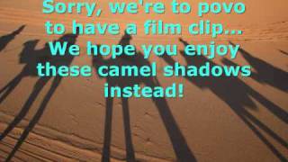 (There&#39;s Gonna Be) Sex Tonite