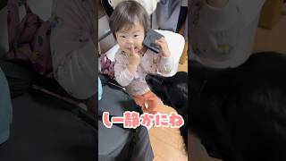 電話中だから静かにね #shorts