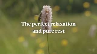 Perfect relaxation in PYTLOUN HOTELS