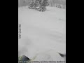 OOPS We Did It Again Best Fails Of The Week Funny Videos Tavi Castro 2023 Funny TaviCastro