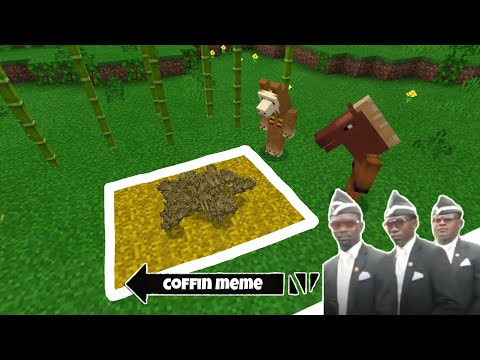 Coffin Meme Cursed Traps Edition Part 2 - Minecraft