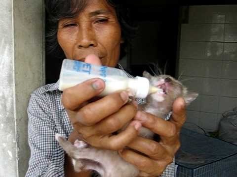 หน้าอกหลังจาก mammoplasty ฮอร์โมนเสริมเต้านม